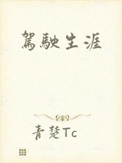 驾驶生涯