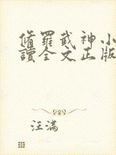 修罗武神小说阅读全文正版封面