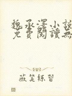 魏承泽小说全文免费阅读无弹窗笔趣