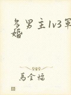 多男主1v3军婚