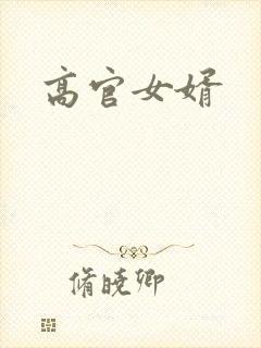 高官女婿