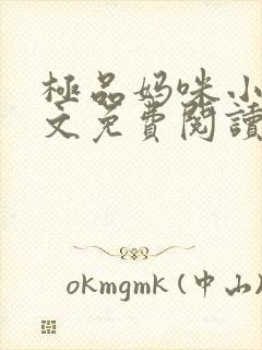 极品妈咪小说全文免费阅读封面