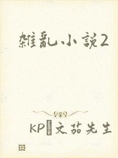 杂乱小说2