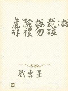 危险总裁:总裁非礼勿碰
