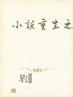 小说重生之官道