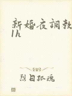 新婚夜调教1v1h