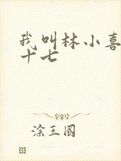 我叫林小喜今年十七