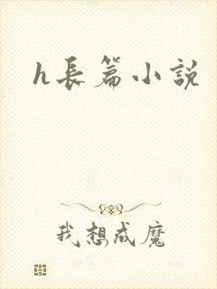 h长篇小说封面