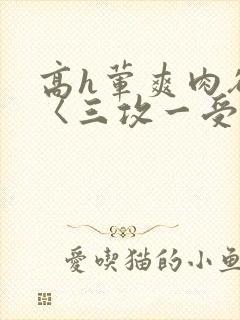 高h荤爽肉欲文〈三攻一受