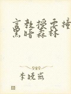言教授要撞坏了黑暗森林封面
