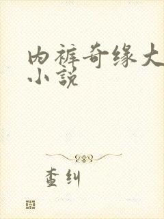 内裤奇缘大团结小说封面