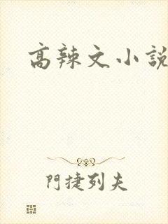 高辣文小说