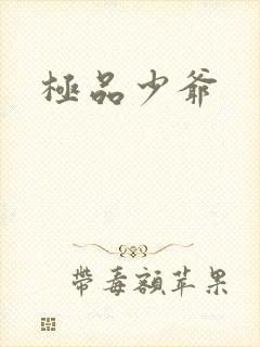 极品少爷