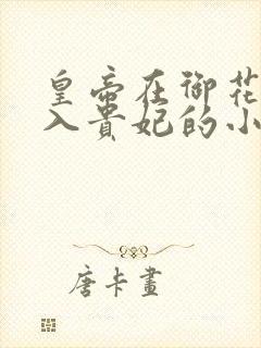 皇帝在御花园进入贵妃的小说