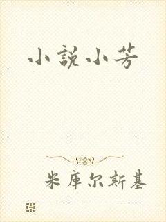 小说小芳封面