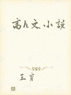 高h文小说