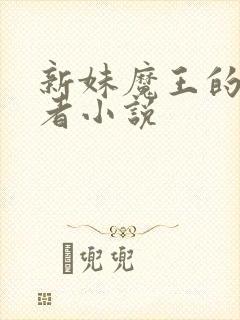 新妹魔王的契约者小说封面