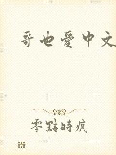 哥也爱中文封面