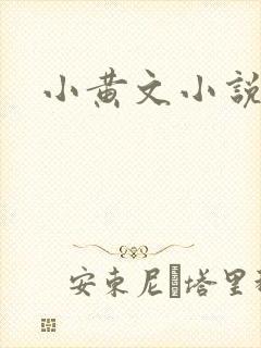 小黄文小说