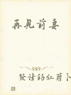 再见前妻