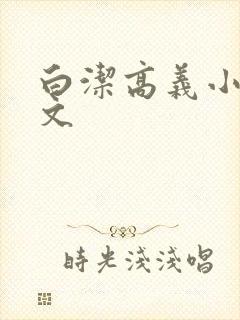 白洁高义小说全文封面
