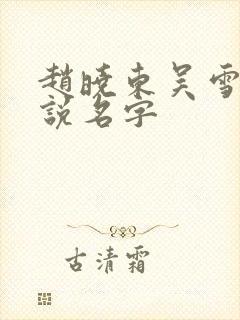 赵晓东吴雪晴小说名字