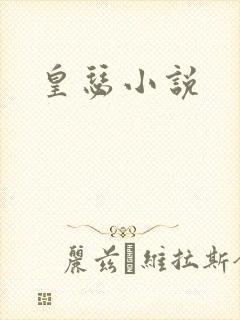 皇瑟小说