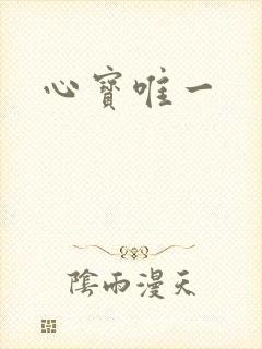 心宝唯一封面
