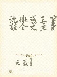 沈微燕王穿越小说全文免费阅读