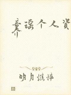 童瑶个人资料简介封面
