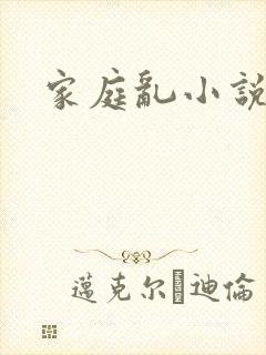 家庭乱小说