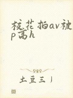 校花拍av被np高h