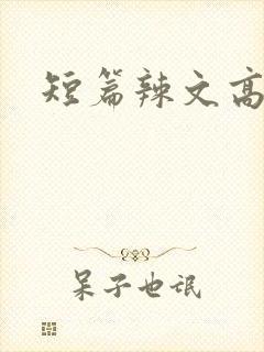 短篇辣文高h封面