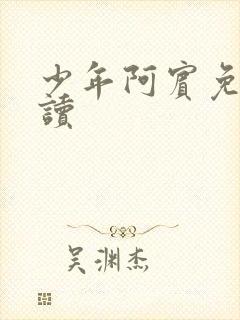 少年阿宾免费阅读