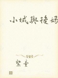 小城与后妈封面
