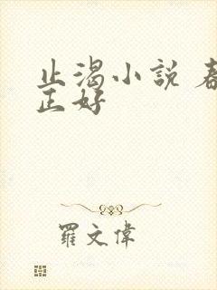 止渴小说 春光正好封面