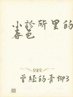 小诊所里的无边春色封面