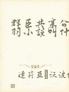 群臣共享公主银羽小说叫什么