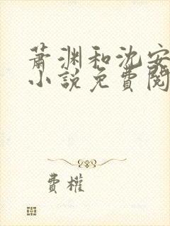 萧渊和沈安安的小说免费阅读封面