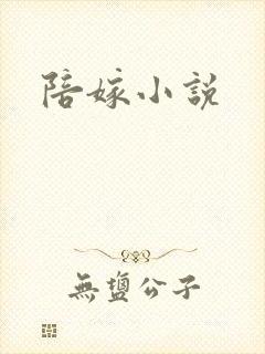 陪嫁小说封面