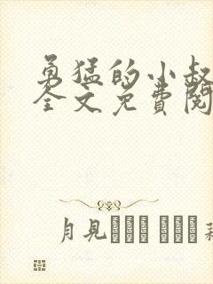 勇猛的小叔小说全文免费阅读封面