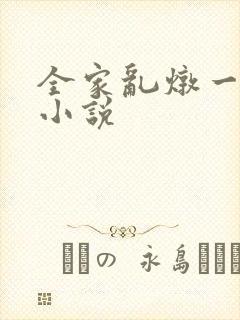 全家乱炖一锅烩小说