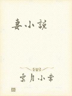 妻小说封面