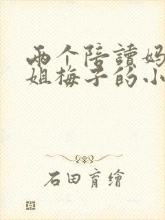 两个陪读妈妈赵姐梅子的小说封面