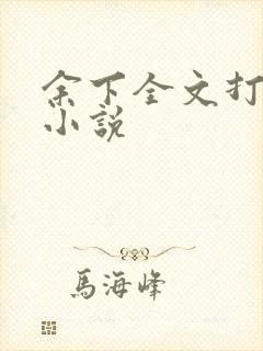 余下全文打不开小说