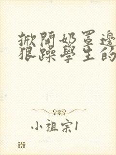 掀开奶罩边躁狠狠躁学生的小文字