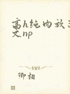 高h纯肉放荡h文np