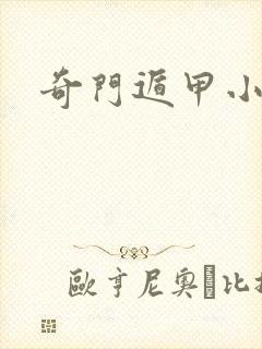奇门遁甲小说