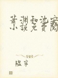 萧渊和沈安安的小说免费阅读封面