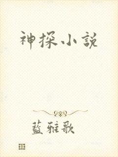 神探小说